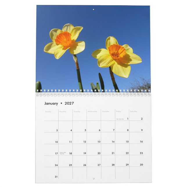 Calendrier 2013 de fleur (Jan 2027)