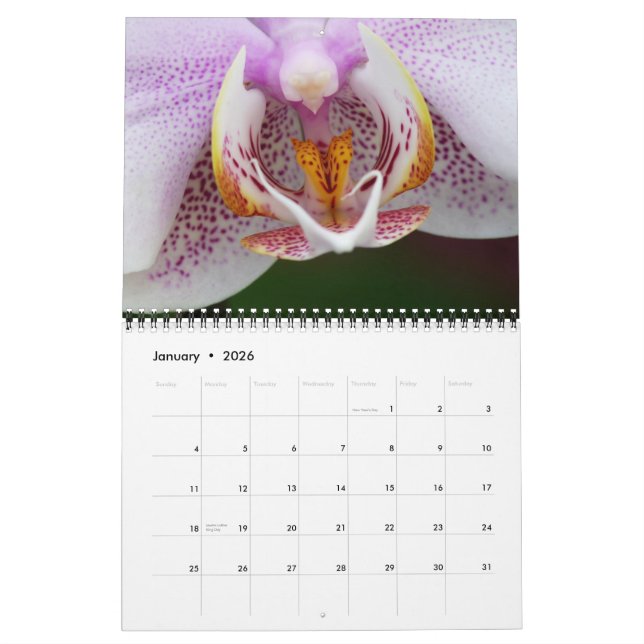 CALENDRIER 2013 DE FLORA PAR DES PHOTOS DE MAYES (Jan 2026)