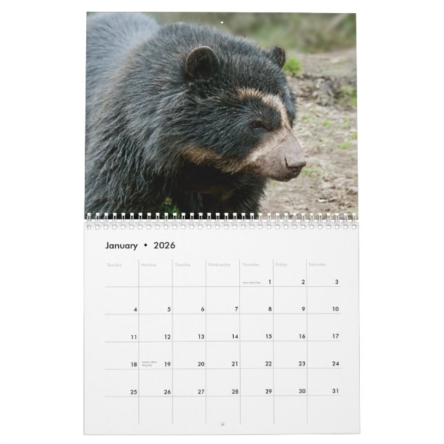 Calendrier 2013 de la Fondation de l'ours andin (Jan 2026)