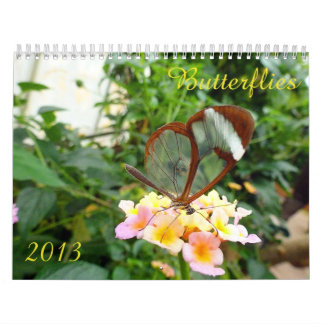 Calendrier 2013 de papillon