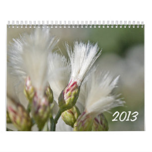 Calendrier 2013 de photo