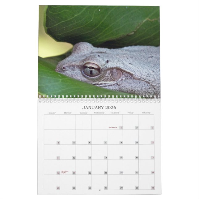 Calendrier 2013 de photo (Jan 2026)