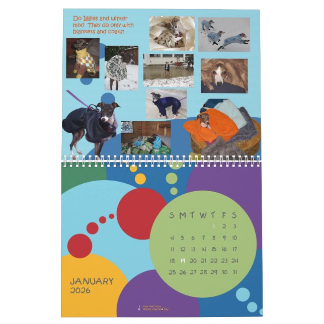 Calendrier 2013 du lévrier italien d'IGWhispers (Jan 2026)