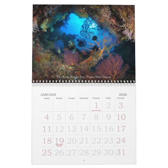 Calendrier 2013 sous-marin d'espèce marine de (Jan 2026)