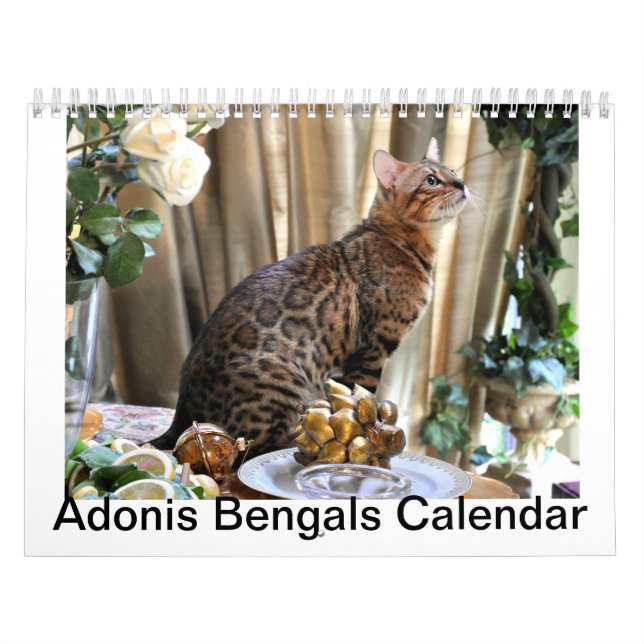 Calendrier 2014 d'AdonisBengals (Protection)
