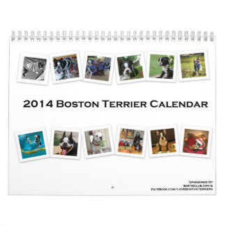 Calendrier 2014 de Boston Terrier