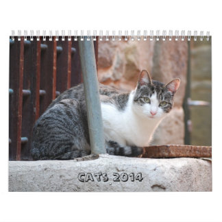 Calendrier 2014 de chat
