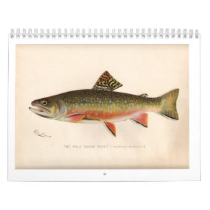 Calendrier 2014 de truite de Sherman Denton