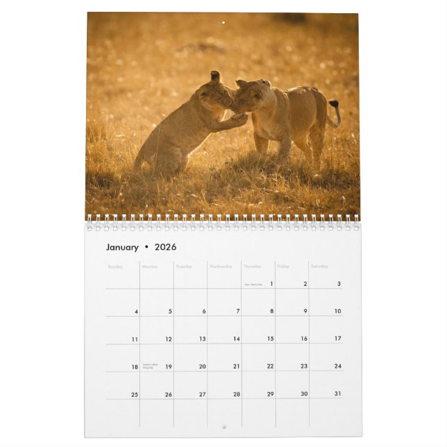 Calendrier 2015 Baby Animals by McDonald Wildlife Photography (Jan 2026)