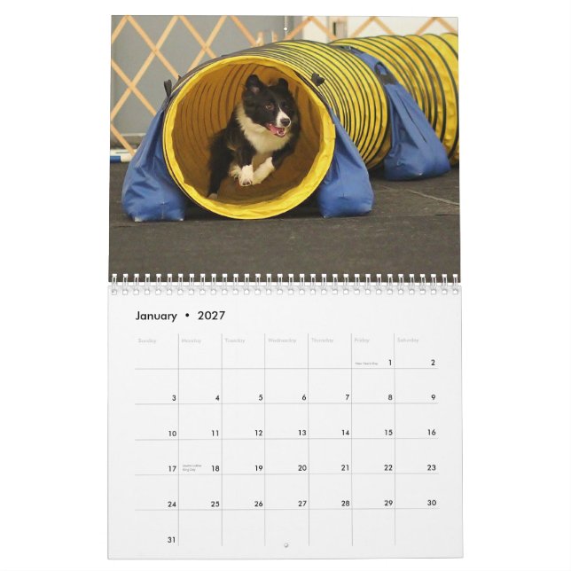 Calendrier 2015 d'agilité de border collie (Jan 2027)