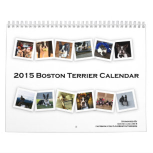 Calendrier 2015 de Boston Terrier