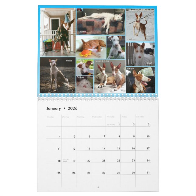 Calendrier 2015 de central de chien d'Ibizan (Jan 2026)