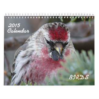 Calendrier 2015 de petits oiseaux