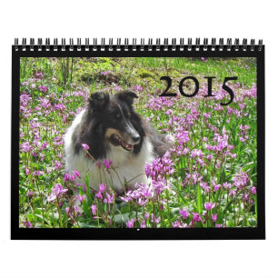 Calendrier 2015 de Sheltie