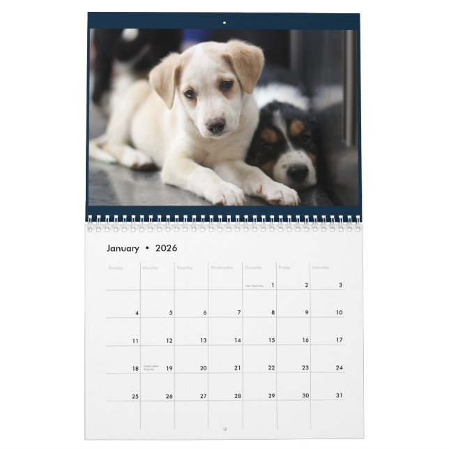 Calendrier 2015 des soins des animaux de collines (Jan 2026)