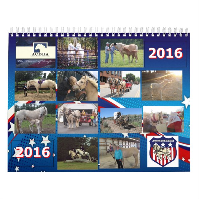 Calendrier 2016 d'ACDHA (Protection)