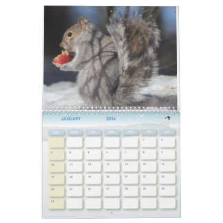 Calendrier 2016 de photo du Maine