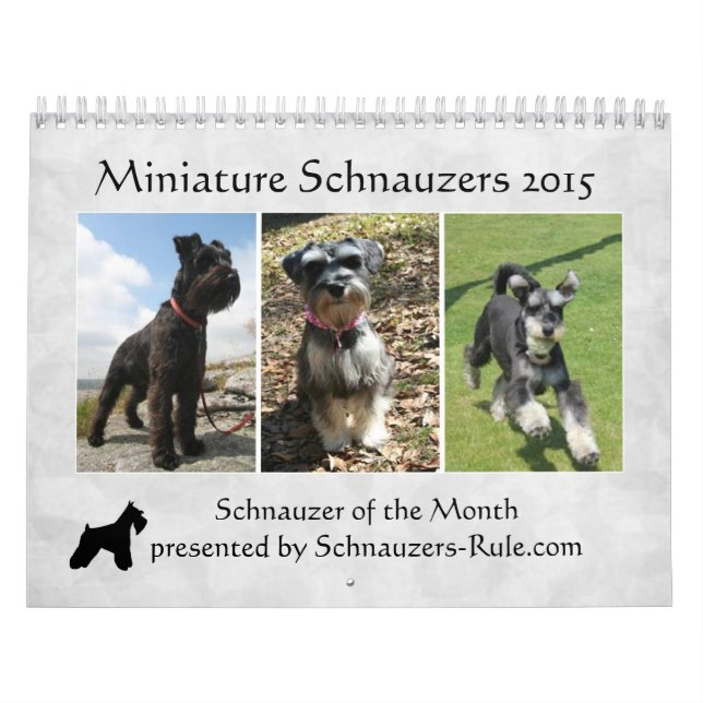 Calendrier 2016 de Schnauzer (Protection)