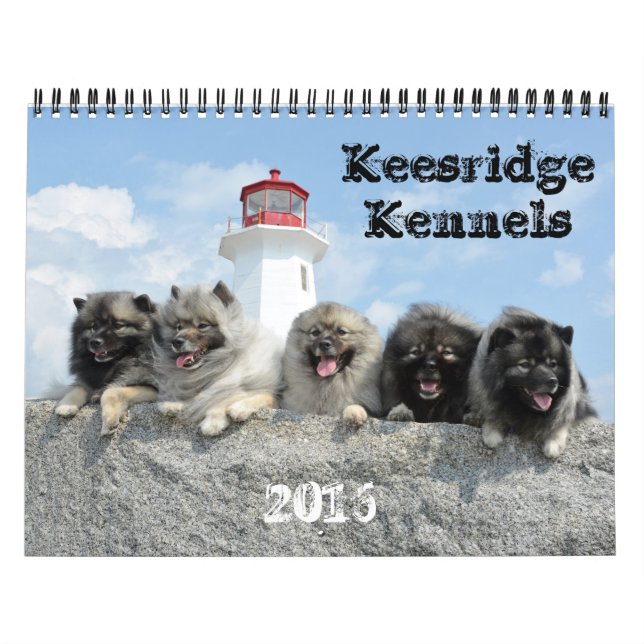 Calendrier 2016 d'établissements de Keesridge (Protection)