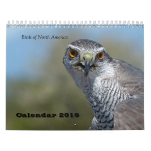 Calendrier 2016 - Oiseaux de l'Amérique du Nord