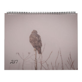 Calendrier 2017 de faune