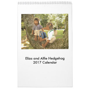 Calendrier 2017 de poupée de hérisson