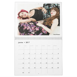 Calendrier 2017 " Les Owlies"