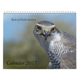 Calendrier 2017 - Oiseaux d'Amérique du Nord