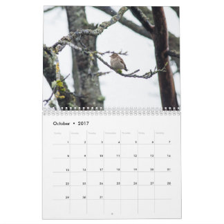 Calendrier 2017 par prélèvement de Barbara