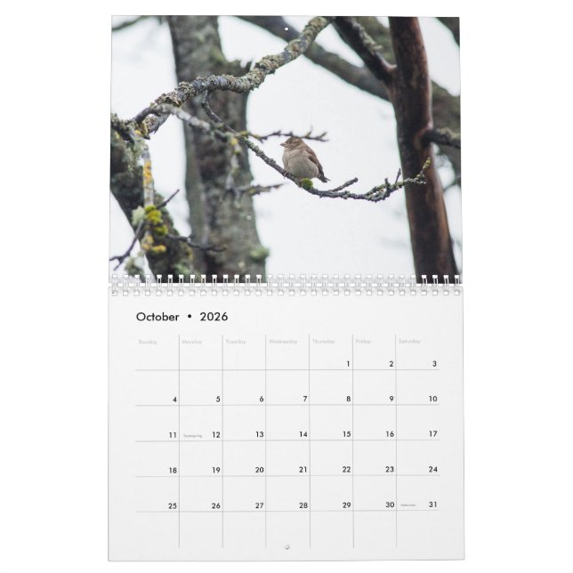 Calendrier 2017 par prélèvement de Barbara (Oct 2026)