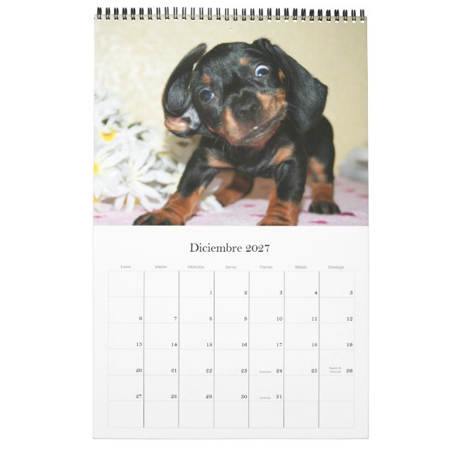 Calendrier 2017 Puppy Dachshunds (Dec 2027)