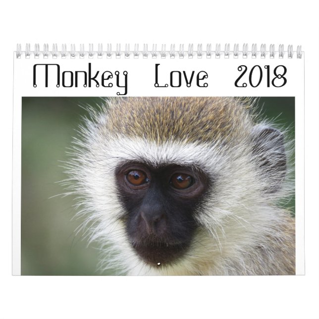 Calendrier 2018 d'amour de singe (Protection)