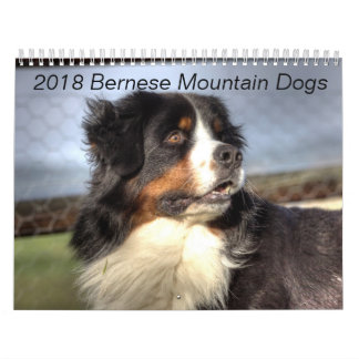 Calendrier 2018 de chien de montagne de Bernese