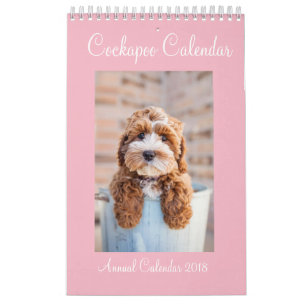Calendrier 2018 de Cockapoo