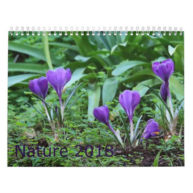 Calendrier 2018 de nature (Protection)