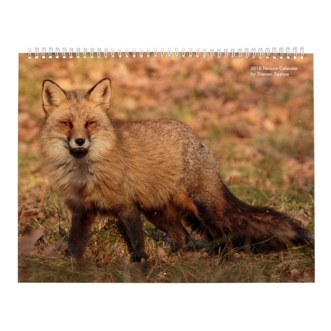 Calendrier 2018 de nature (Protection)