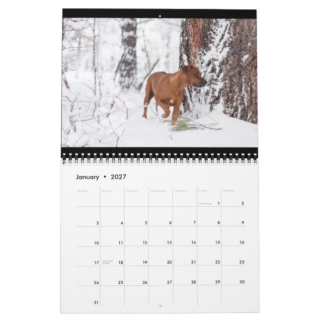 Calendrier 2018 de Rhodesian Ridgeback (Jan 2027)