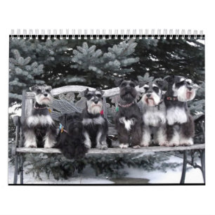 Calendrier 2018 de Schnauzer