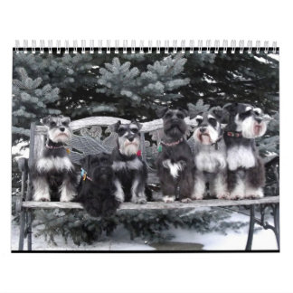 Calendrier 2018 de Schnauzer