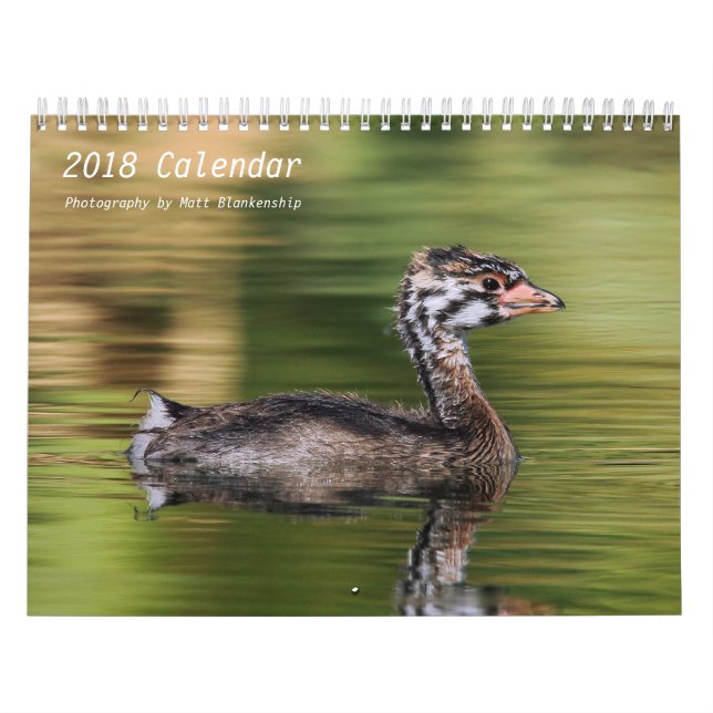 Calendrier - 2018 - milieu b (Protection)