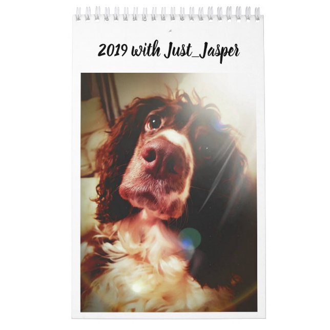 calendrier 2019 (Protection)