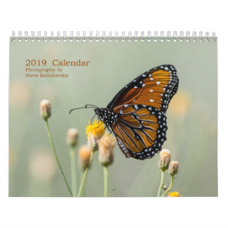 Calendrier 2019 calendrier, photographie par Steve