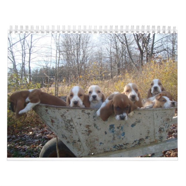 Calendrier 2019 de chiot de chien de basset (Protection)