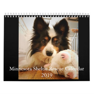 Calendrier 2019 de délivrance du Minnesota Sheltie