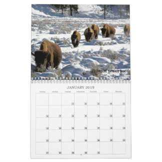 Calendrier 2019 de la faune des terres publiques d