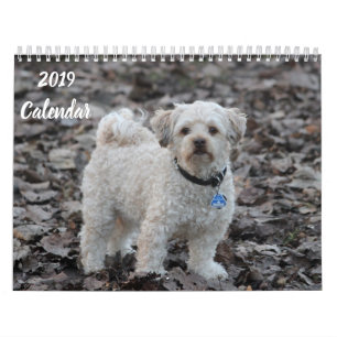 Calendrier 2019 mignon Poodle Chien Images