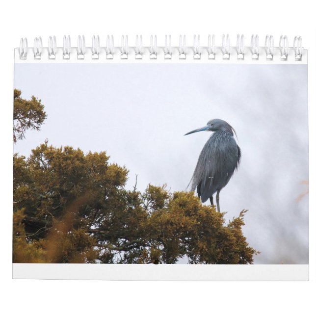 Calendrier 2020 (Dos)