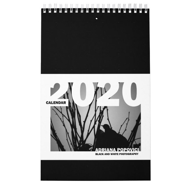 Calendrier 2020 : Calendrier de B&W Fine Art Photo (Protection)
