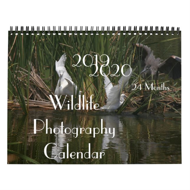 Calendrier 2020 de la photographie 2019 de faune (Protection)