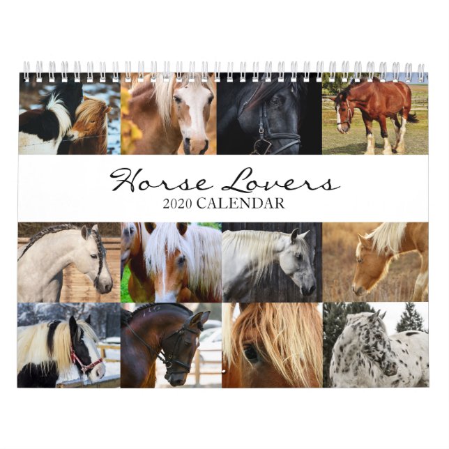 Calendrier 2020 Horse Lovers - Animal Office Calen (Protection)